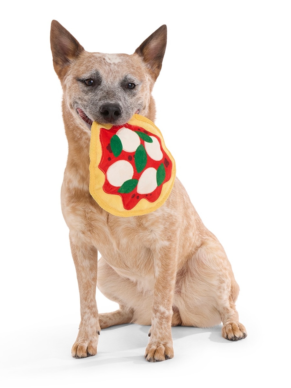 Bark Muttzarella Pizza Dog Toy NWT